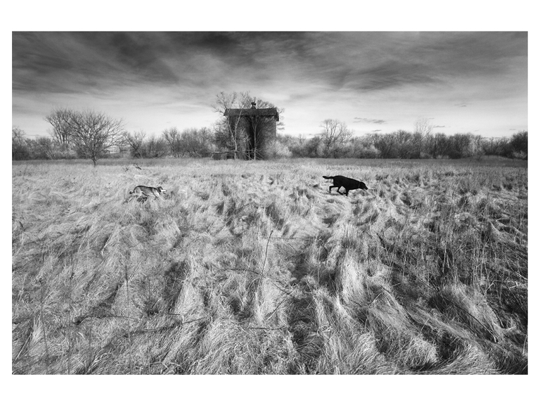 an image of a photograph by artist bruce giffin that won second place in digital space 4